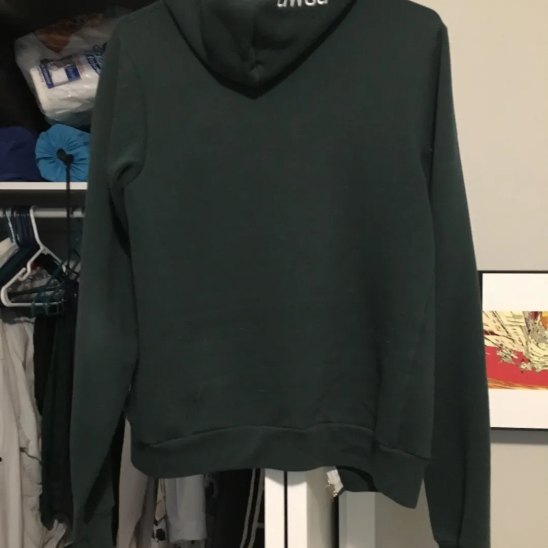 Green American apparel Hoodie - Size Small photo 3