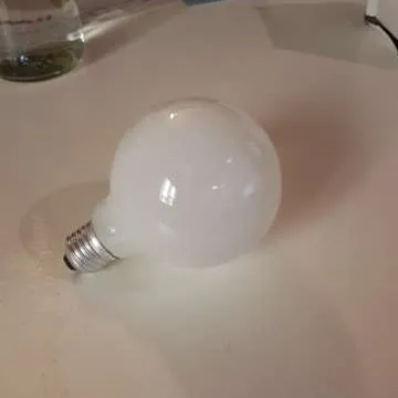 Big Globe Lightbulbs photo 1