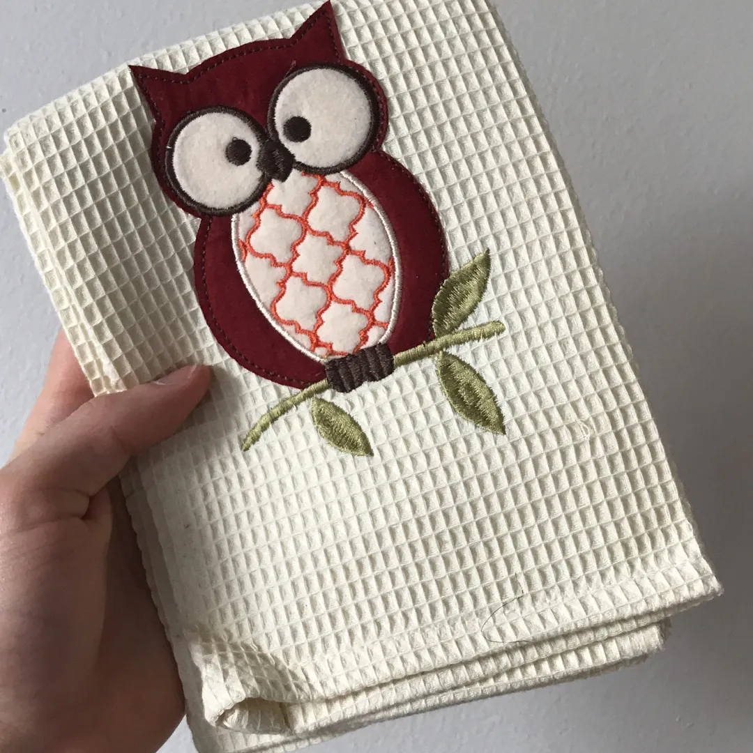 Owl Dish Cloth Thingy ✨ photo 1