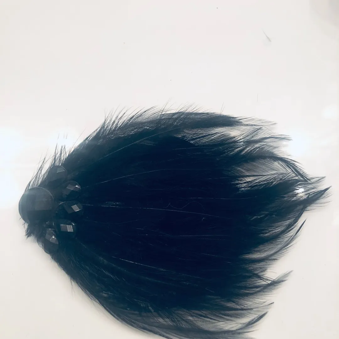 Jeweled Black Feather Hair Pin photo 1
