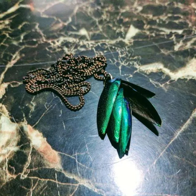 Handmade Beetle Wings Necklace 🐜🐞 photo 1