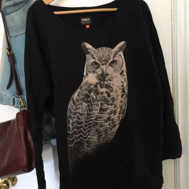 Owl sweater photo 1