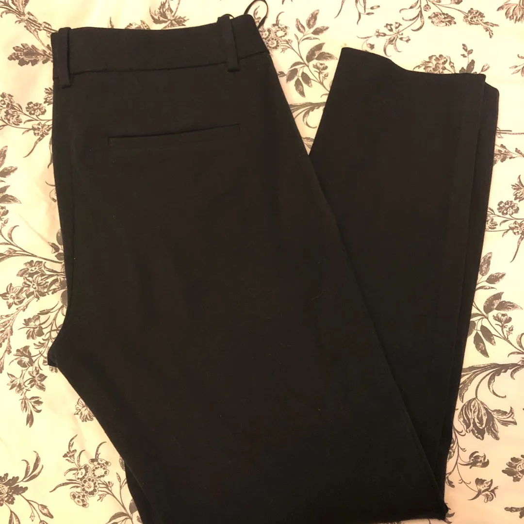 Babaton Aritzia Dress Pants (black) photo 1