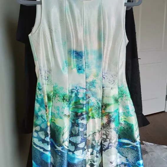 ZARA Summer Aquatic Print Dress - Sz S photo 1