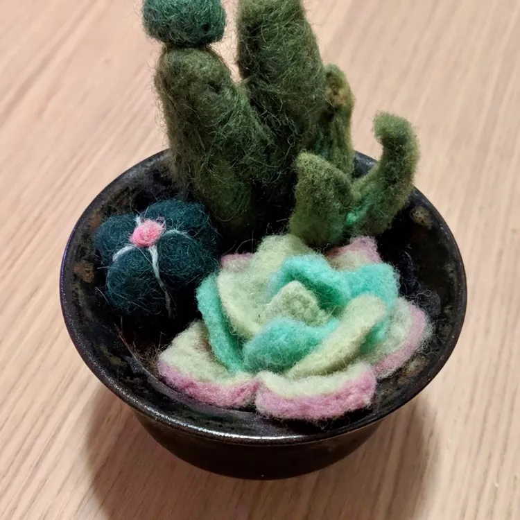 Felted Cacti 🌵 photo 1