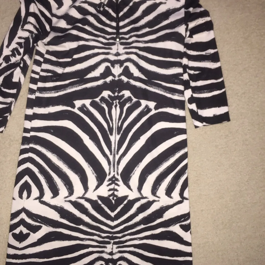 H&M Zebra Print Dress photo 1