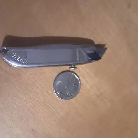 Truly Pocket Sized knife photo 1