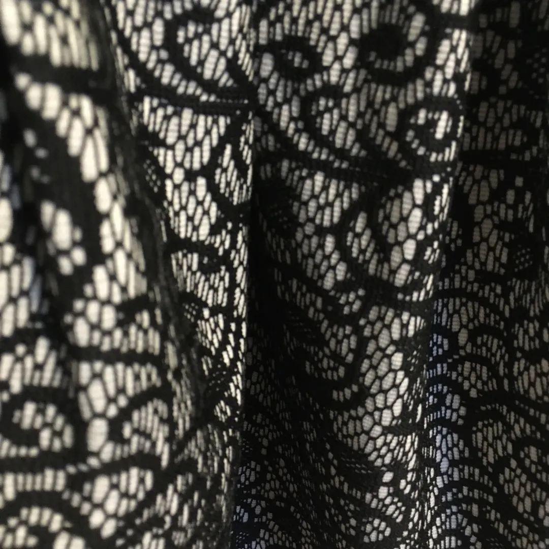 Aritzia Embroidered Lace Dress photo 4