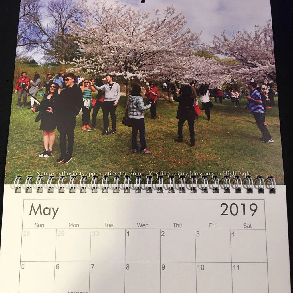 Real Toronto 2019 Calendar (Misprint) photo 3