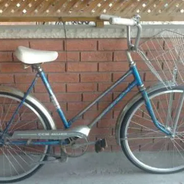 Cute Vintage Bike photo 1
