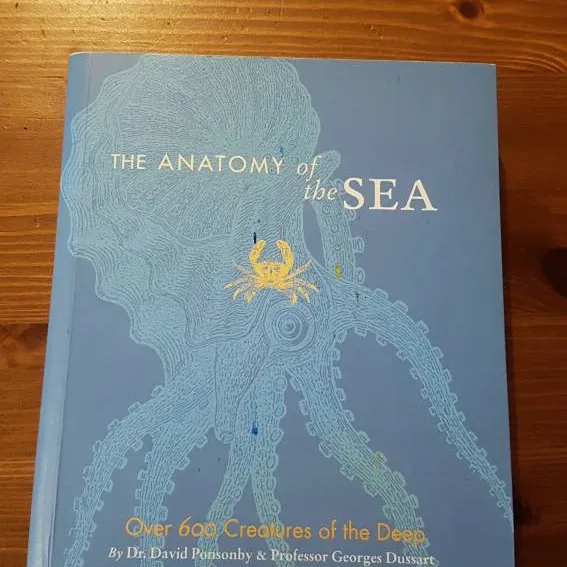 The Anatomy Of The Sea photo 1