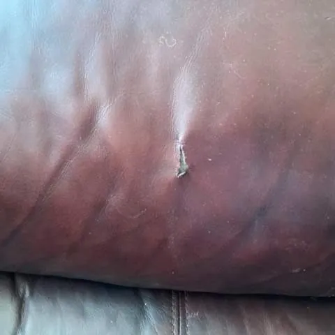 Genuine Leather Sofa Bed photo 9