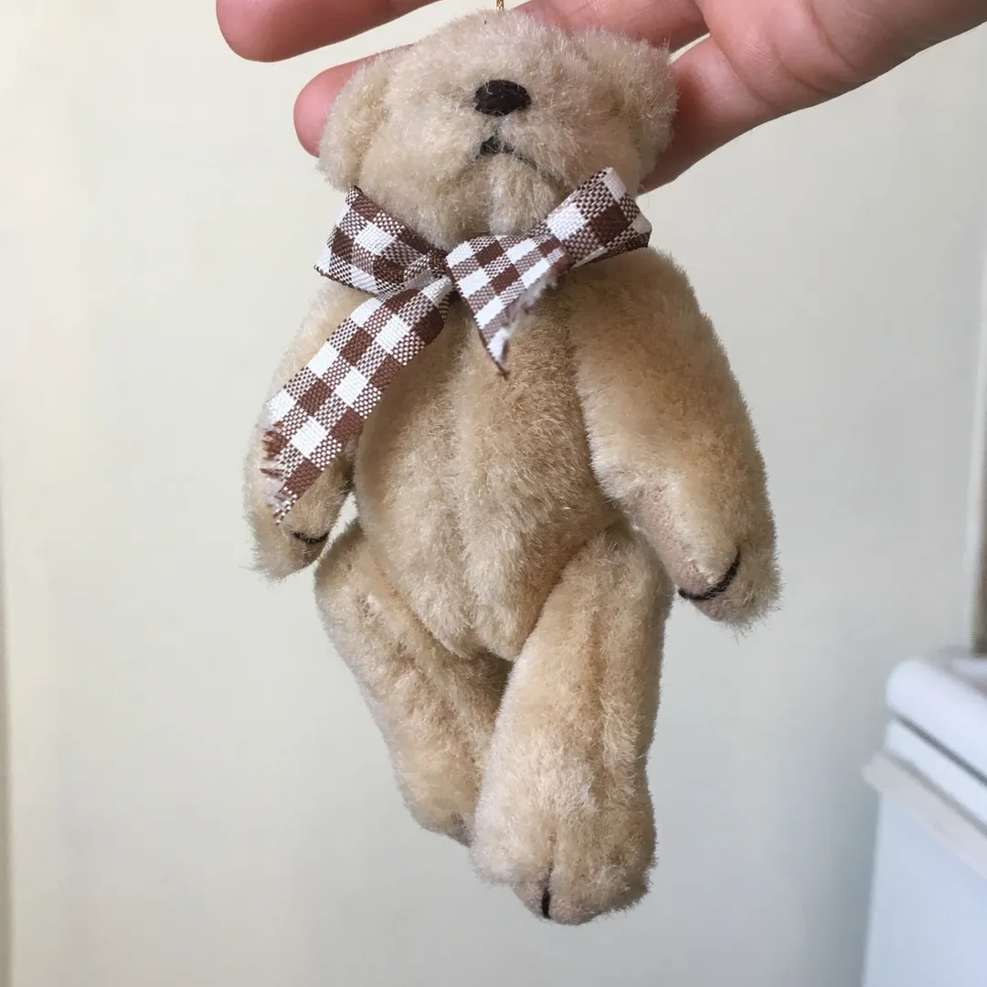 Cute Teddy Bear photo 4