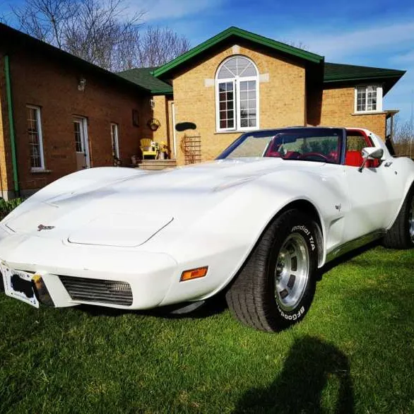 1979 Corvette photo 1