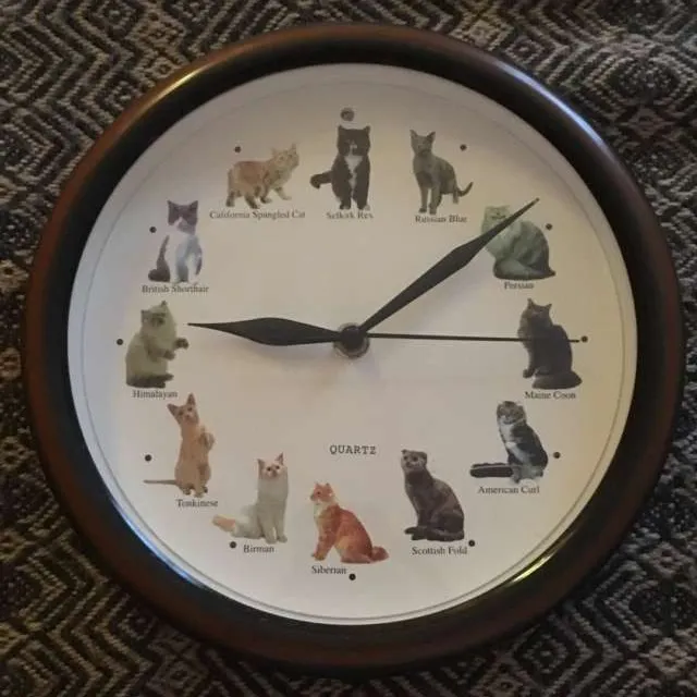 Cat Clock! 😺🐈🐱 photo 1
