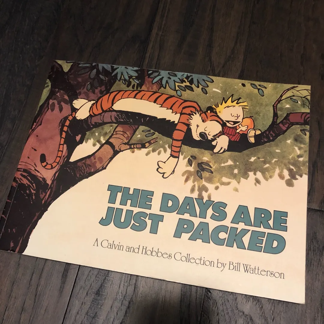 Calvin & Hobbes Book photo 1