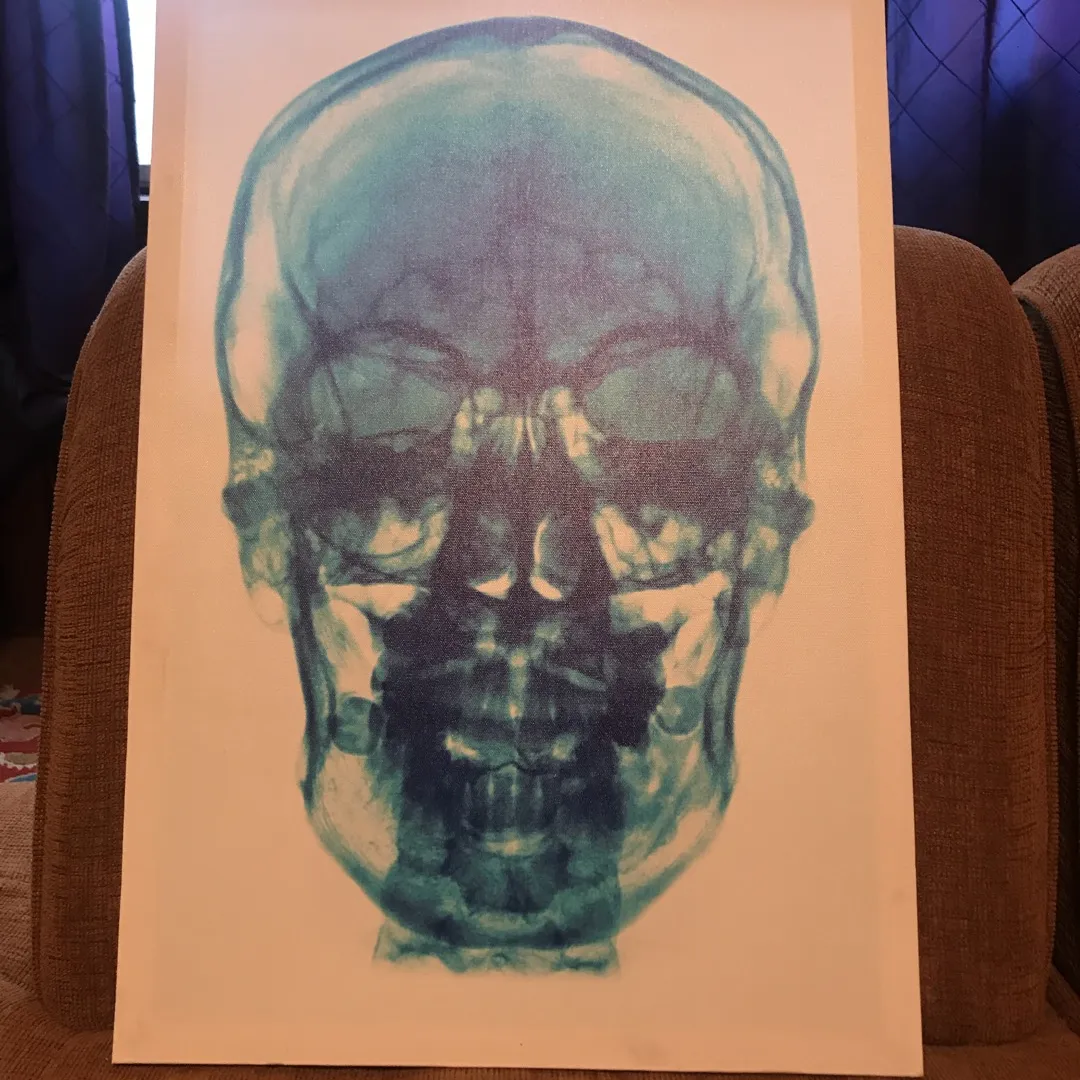 Skull Prints On Canvas photo 1