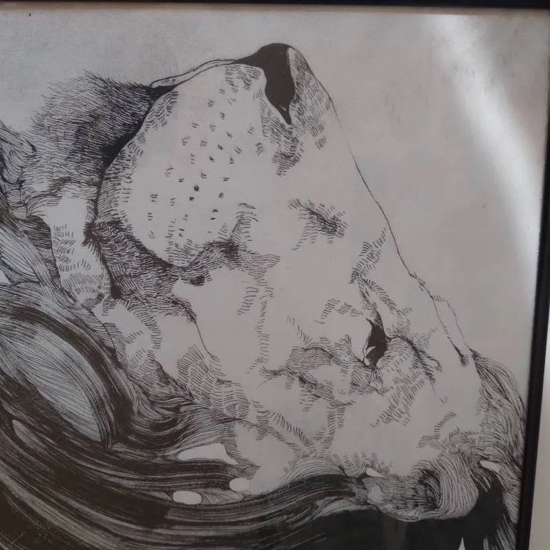 Framed Ink Lion Drawing photo 3