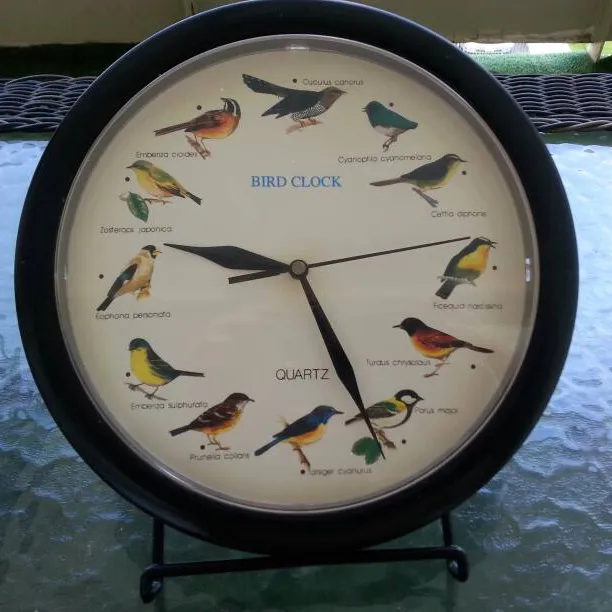 Hold On To Your Horses Guys..........
It's A Bird Clock 😊😊�... photo 1