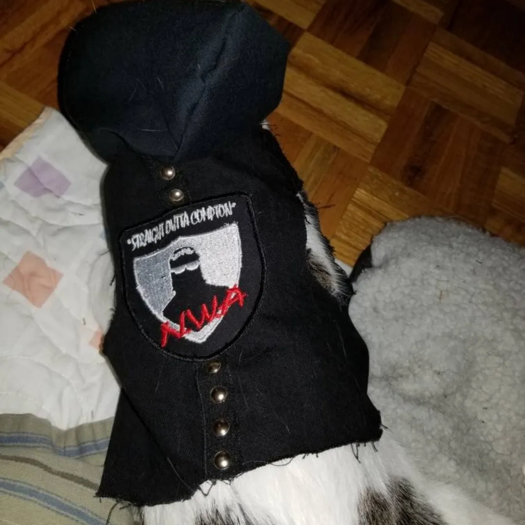 Denim Studded Cat Vest w/Hood - N.W.A. Straight Outta Compton... photo 1