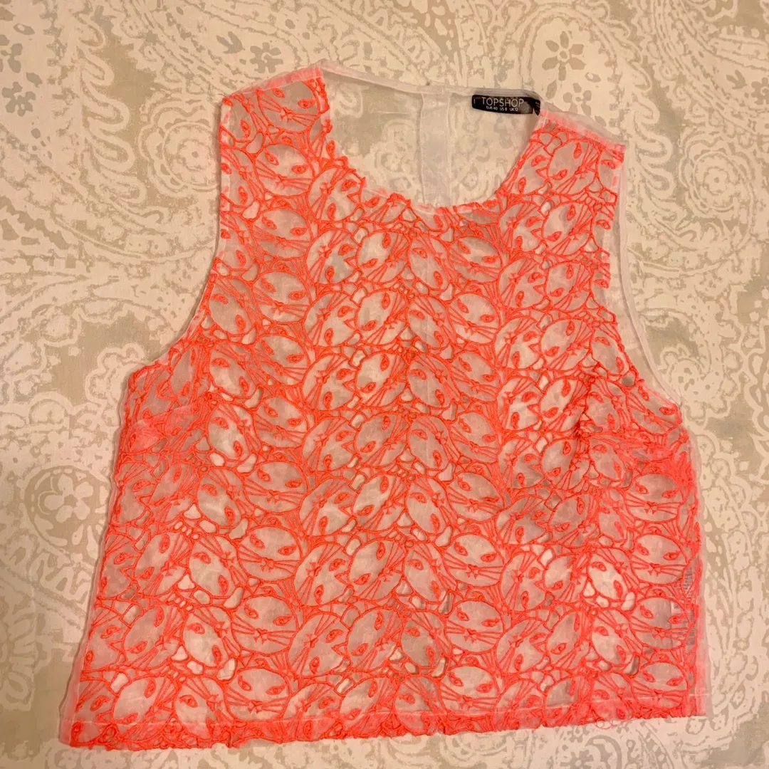 EUC Topshop Mesh Tank with Cat Embroidery — Size 8 photo 1