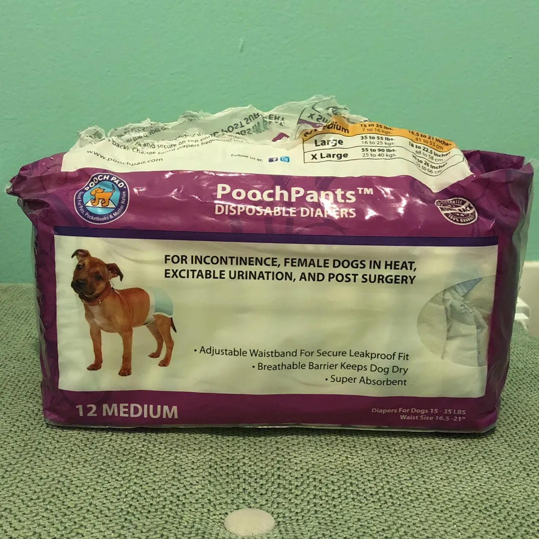 PoochPants (disposable doggy Diapers) photo 1