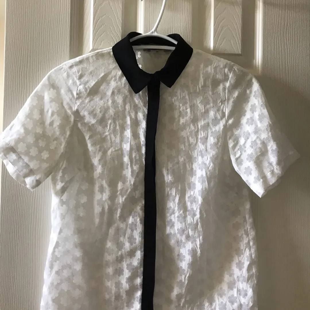White Button Up With Black Collar photo 1