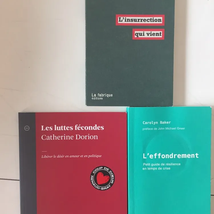 Book in French / livres en français photo 3