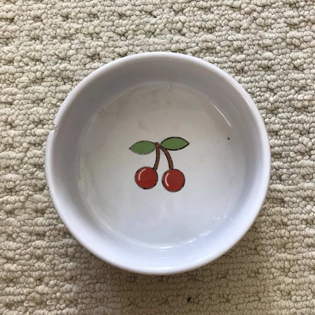 Ceramic Dish photo 1