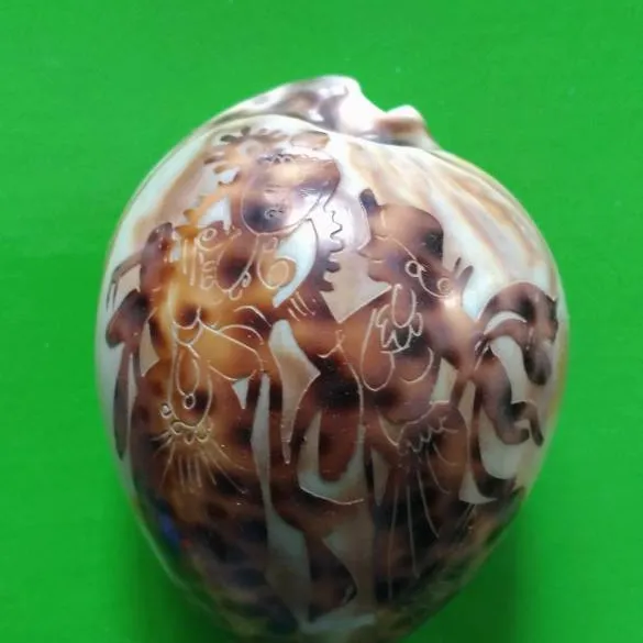Decorative Carved Shell photo 1