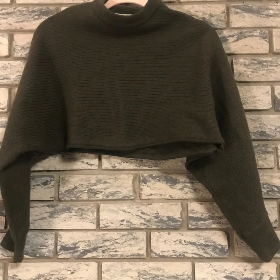 Aritzia Knit Cropped Sweater photo 1