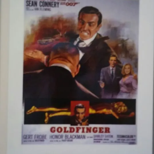 Goldfinger Print photo 1