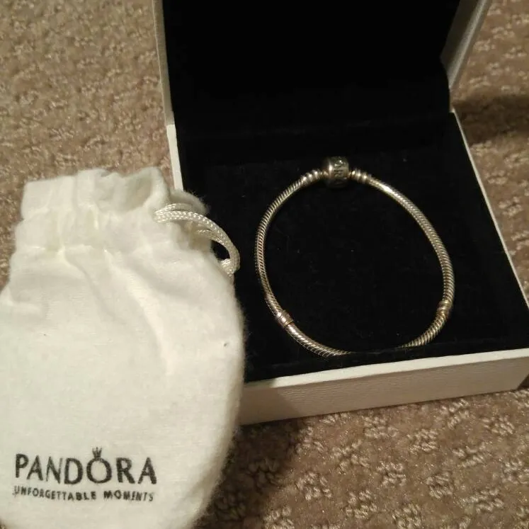 Pandora Charm Bracelet photo 1