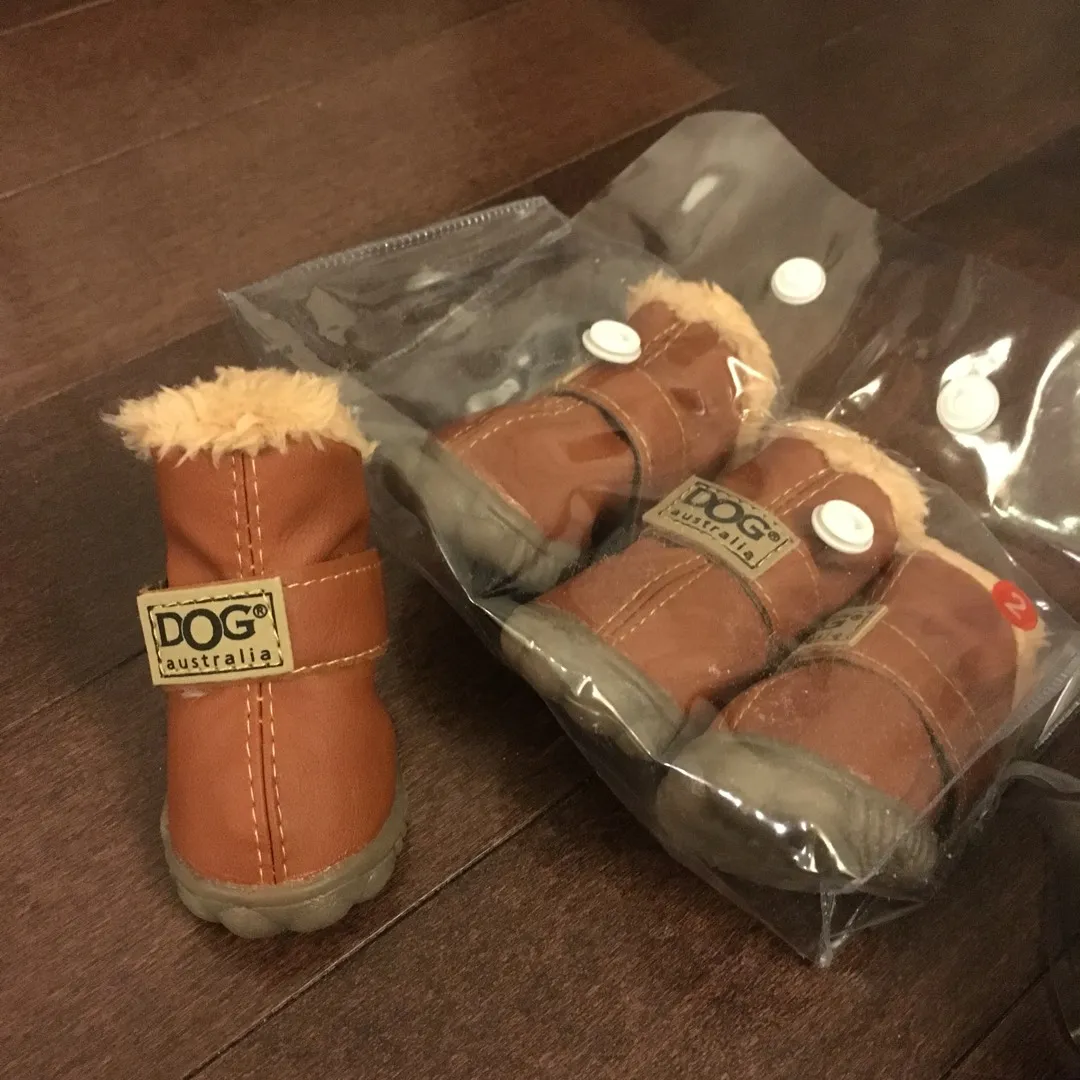 Brand New Dog Shoes photo 1