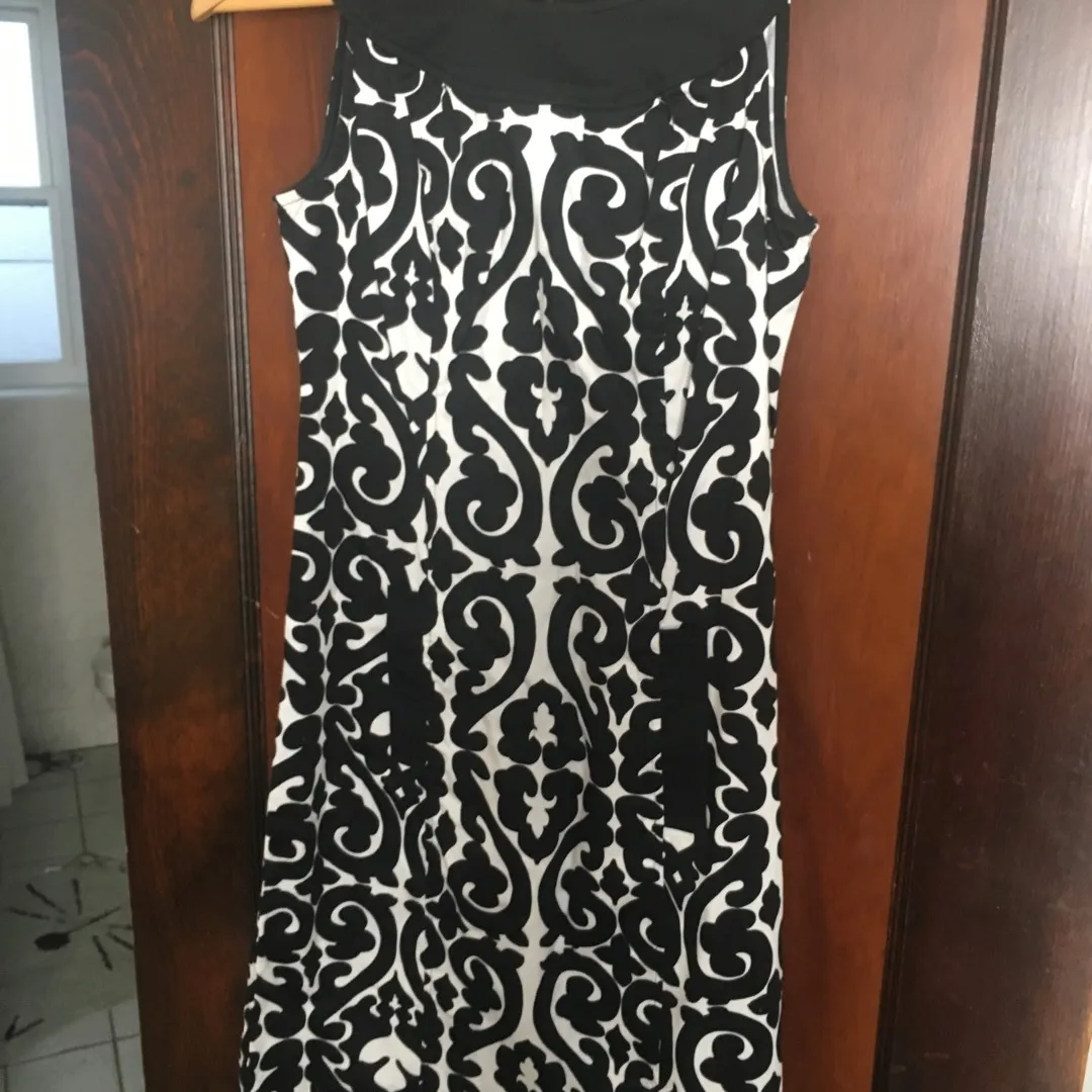 Black & White Sheath Dress (size 2) photo 1