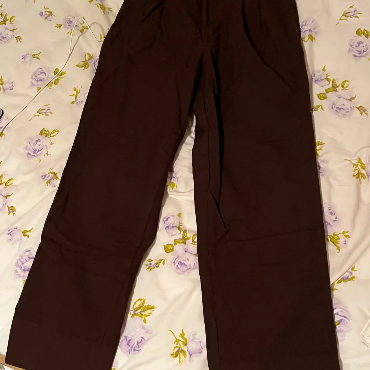 Brown Pleated Trousers photo 1