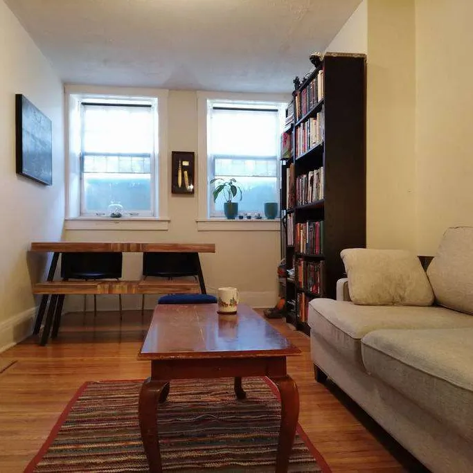 Roommate Wanted in a Furnished Downtown Apartment photo 4