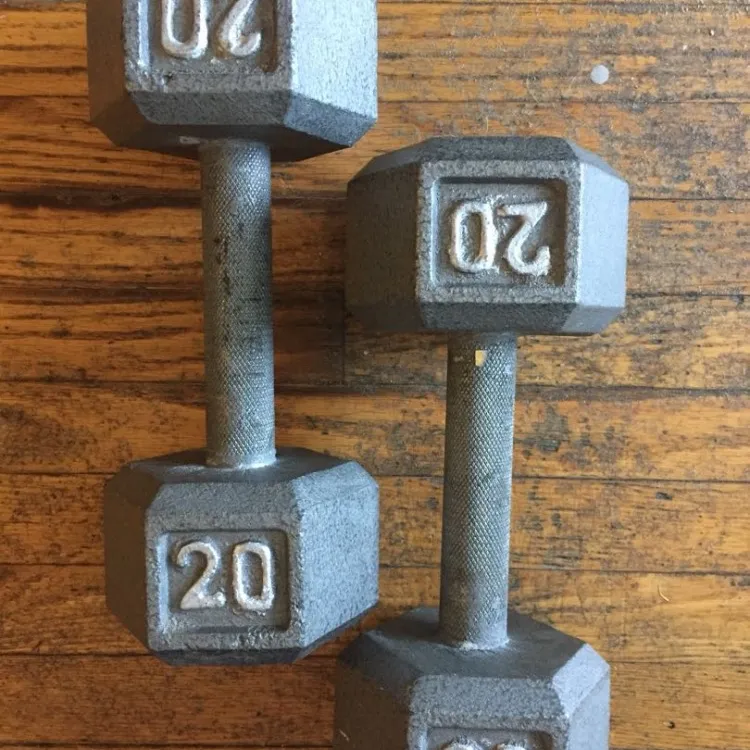 Two 20lb Dumbbell Free Weights photo 1