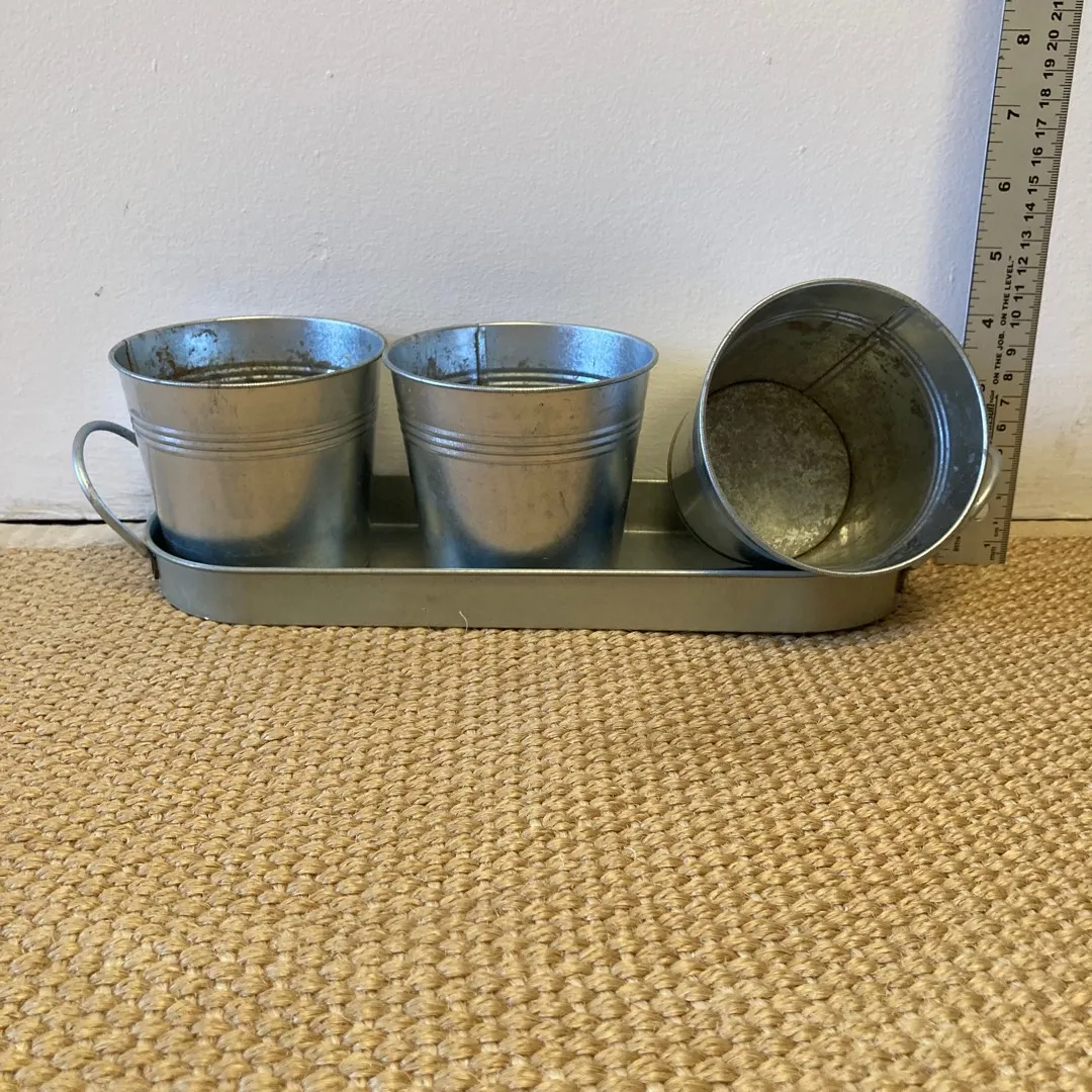 3 x 4” Metal Seedling Planters with Tray photo 1