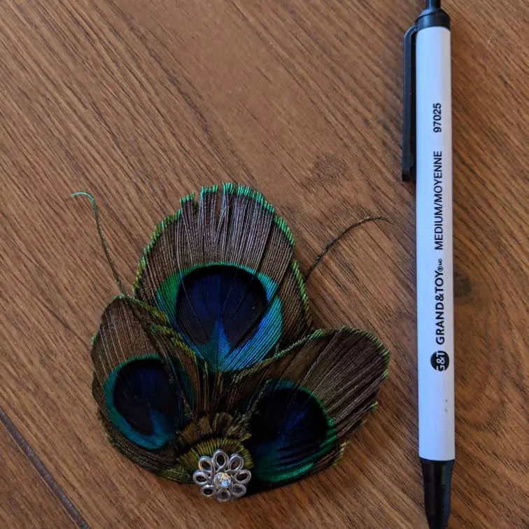 Peacock Feathers Hair Pin photo 1