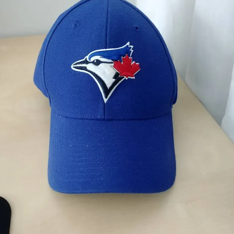 Toronto Blue Jays Hat photo 1