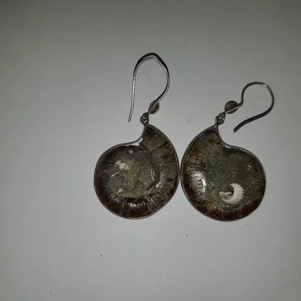 Real Fossil Earrings photo 3