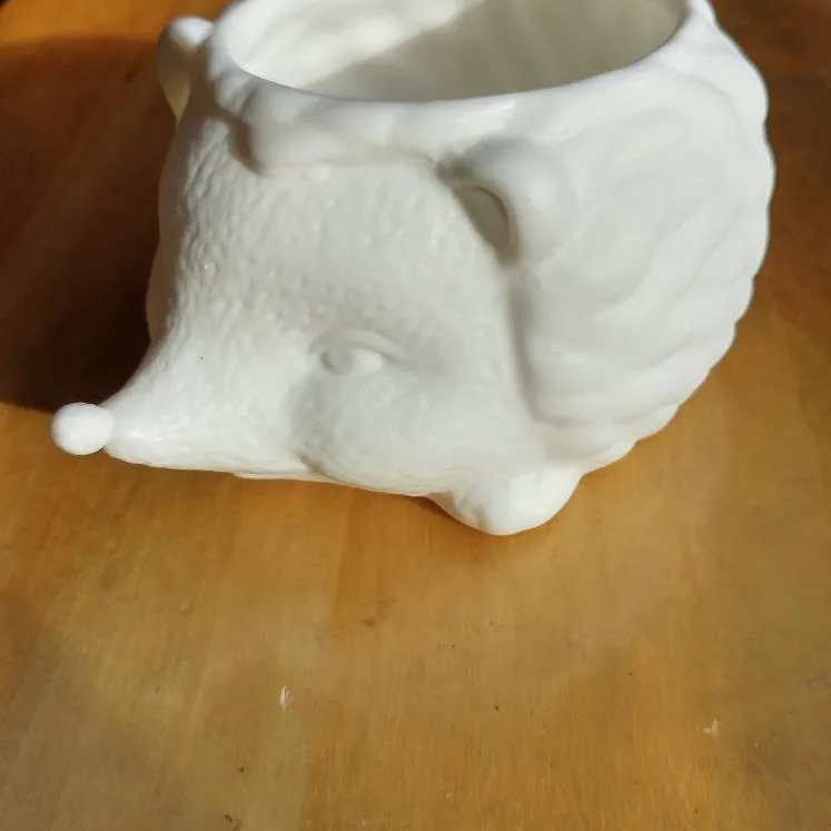 Ceramic Hedgehog Planter photo 1