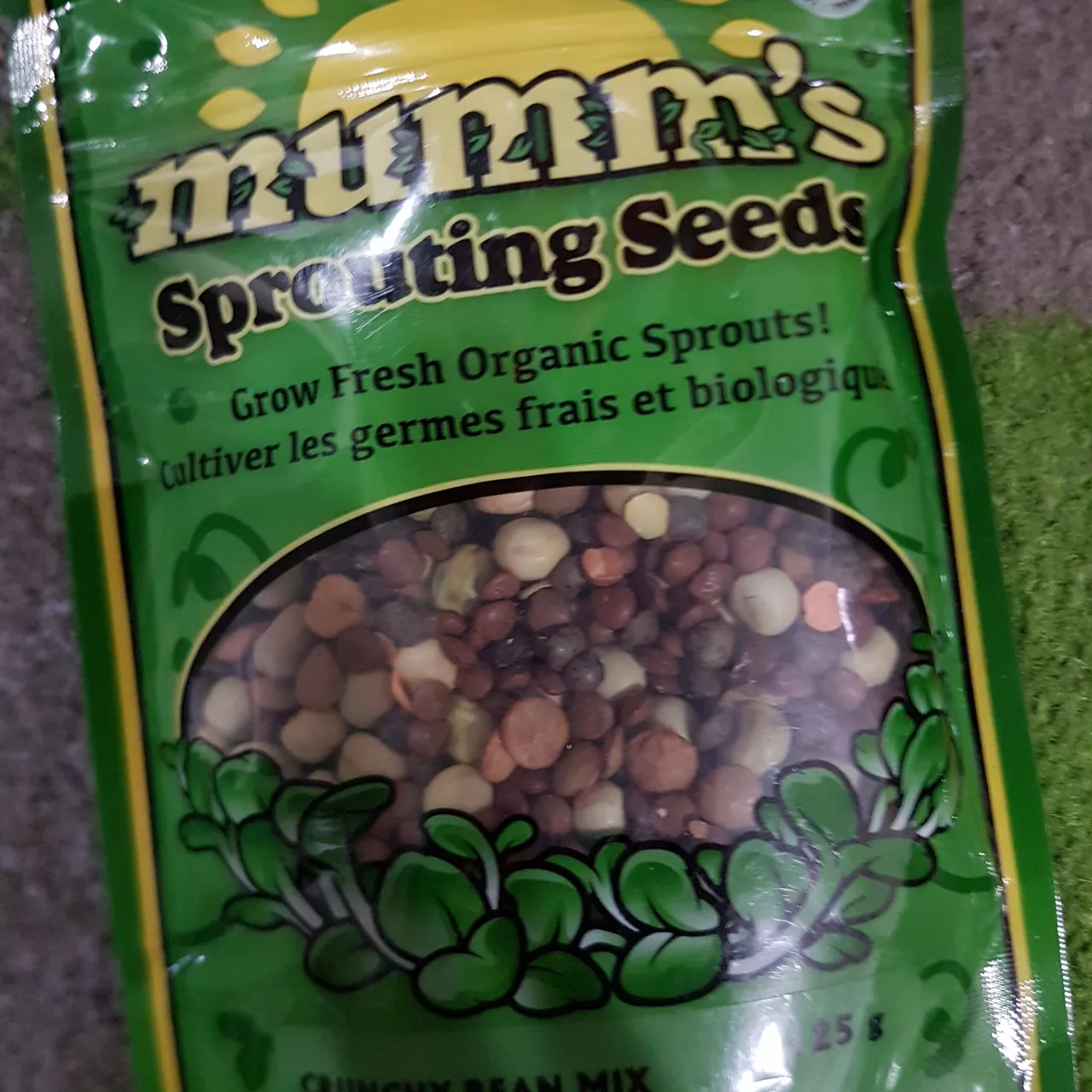 sprouting seeds photo 1