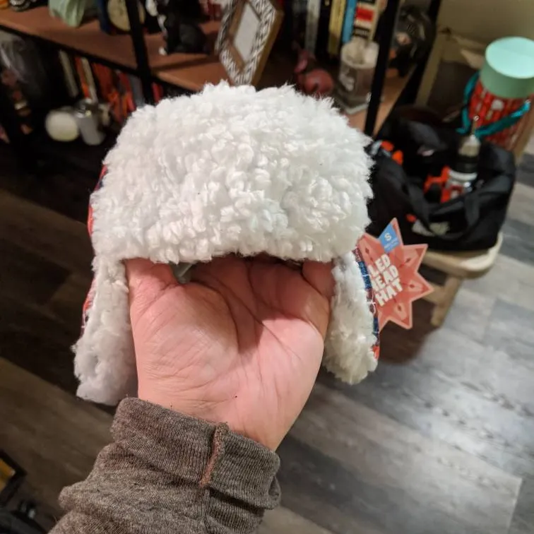 Dog Toy- But Also A Hat? photo 4
