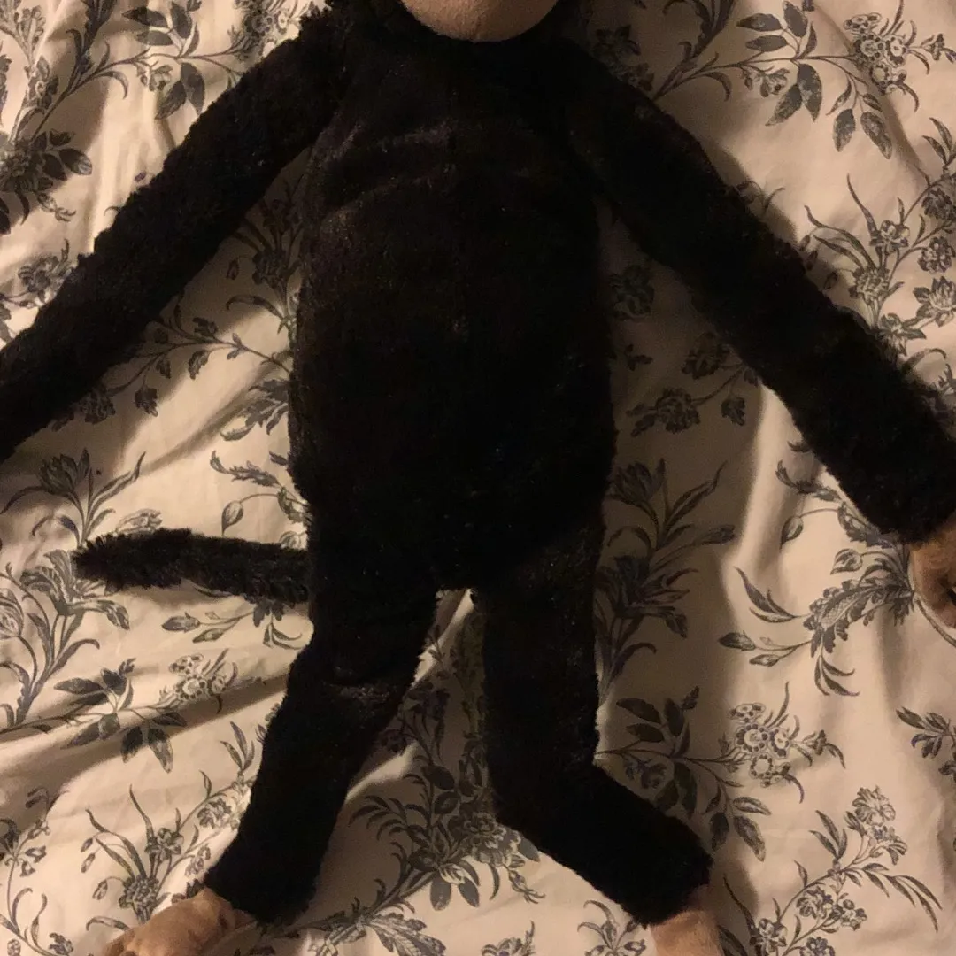 Adorable Plush Monkey photo 1