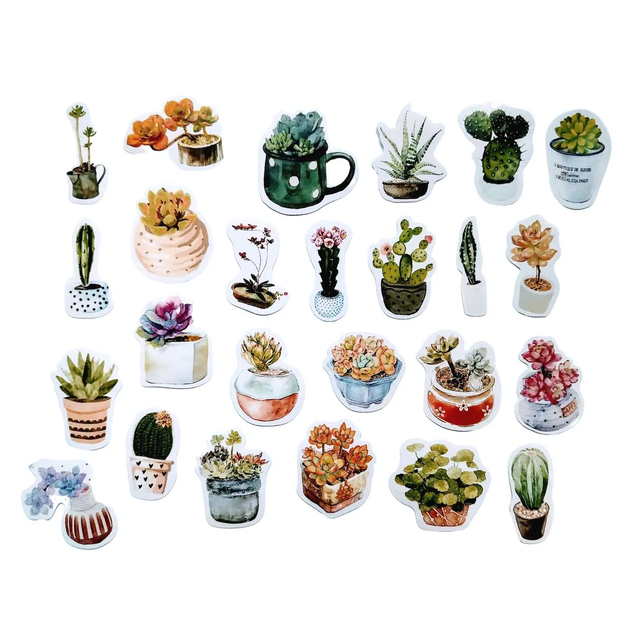 Succulents Stickers photo 1