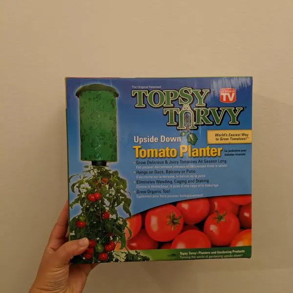 Thing For Growing Tomatoes photo 1