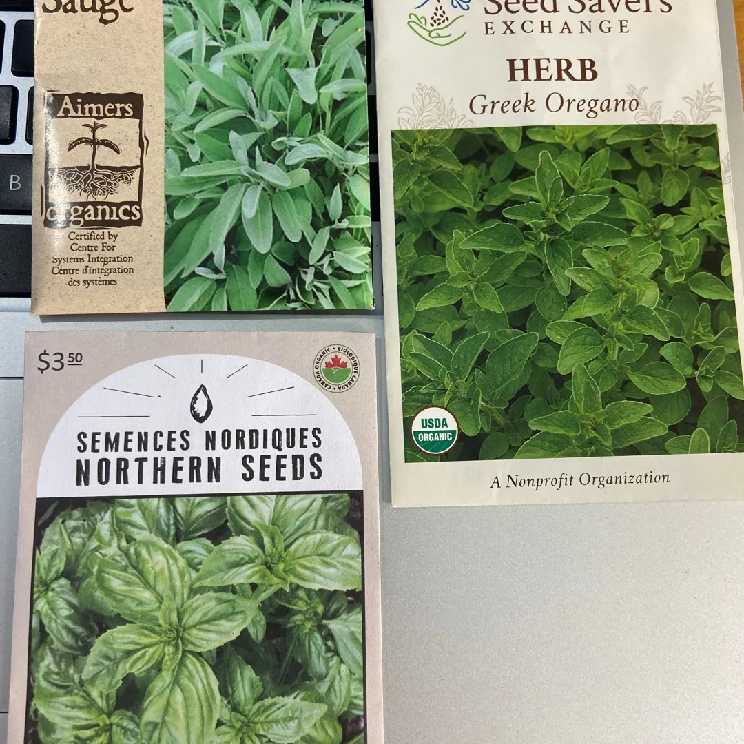 Looking For 10 Organic Thyme Seeds photo 1