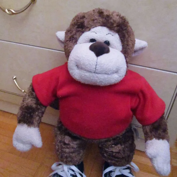 Build-a-Bear Monkey with shirt and shoes photo 1